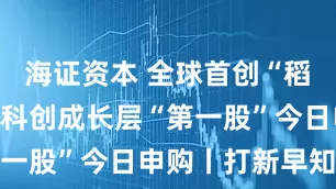 海证资本 全球首创“稻米造血”,科创成长层“第一股”今日申购丨打新早知道